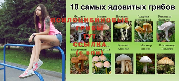 гидропоника Абдулино