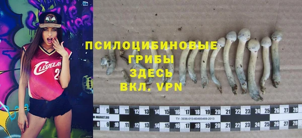 не бодяженный Абаза