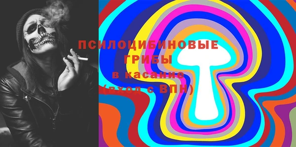 не бодяженный Абаза