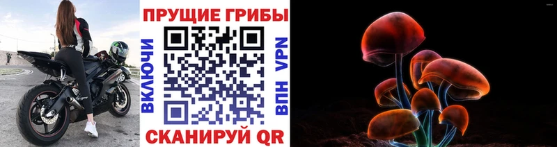 Галлюциногенные грибы мицелий  Терек 